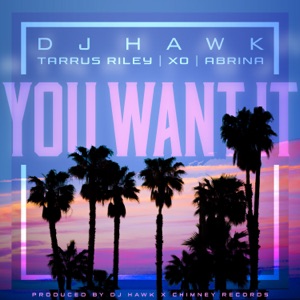 You Want It-DJ Hawk