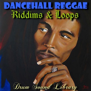 Reggae Dancehall Drumloop #1-Drum Sound Library