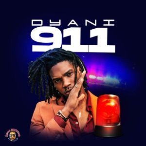 911-D