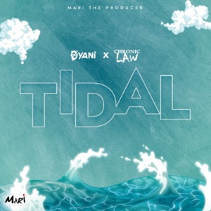 Tidal-D