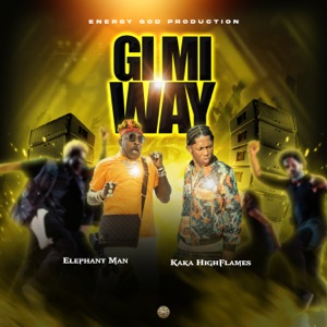 Gi Mi Way-Elephant Man 