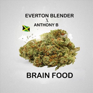 Brain Food-Everton Blender