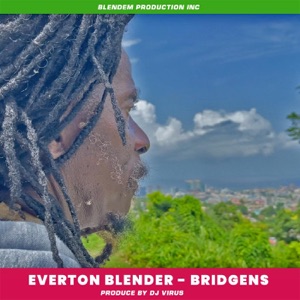 Bridgens-Everton Blender