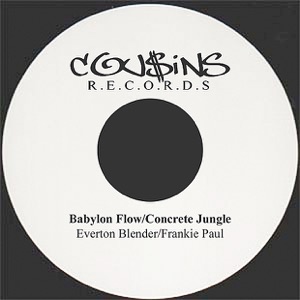 Babylon Flow-Everton Blender