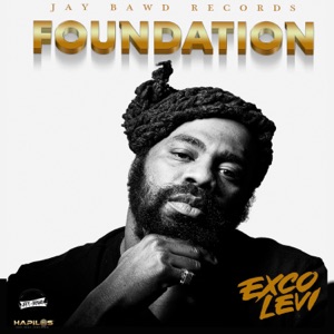 Foundation-Exco Levi