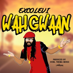 Wahgwaan-Exco Levi