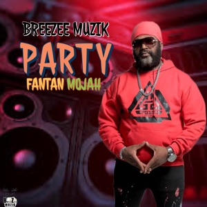 Party-Fantan Mojah