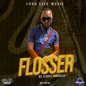 Flosser-Flippa Moggela 