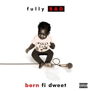 Fully Bad Dj Slow Motion - Born Fi Dweet