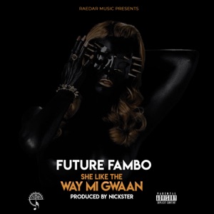 She like the Way Mi Gwaan-Future Fambo 