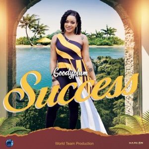 Success - GoodyPlum