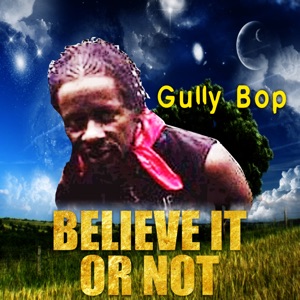 Believe It or Not-Gully Bop