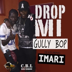 Drop Mi-Gully Bop