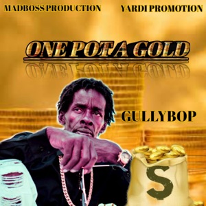 One Pot a Gold - Gullybop