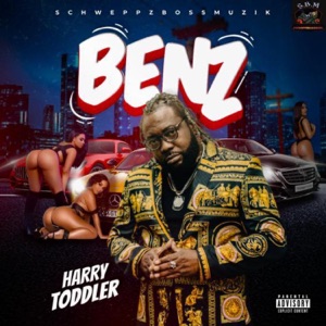 Benz-harry toddler