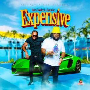 Expensive-Harry Toddler