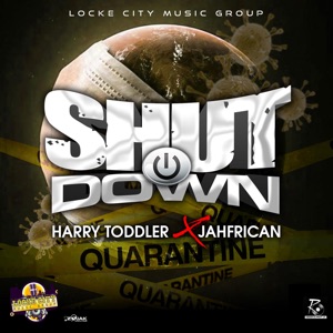 Shut Down-Harry Toddler 