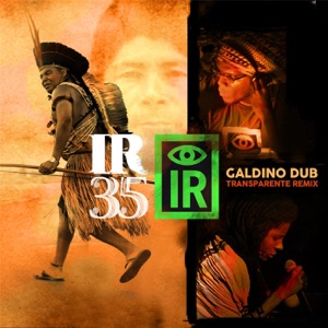 I R 35 Galdino Dub-Indigenous Resistance