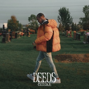 DEEDS-Intence