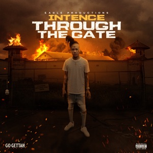 Through the Gate-Intence