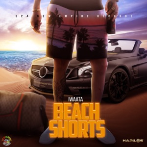 Beach Shorts-Iwaata