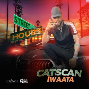 Catscan-Iwaata