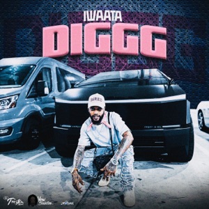 Diggg-Iwaata