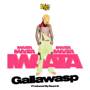 Gallawasp-Iwaata