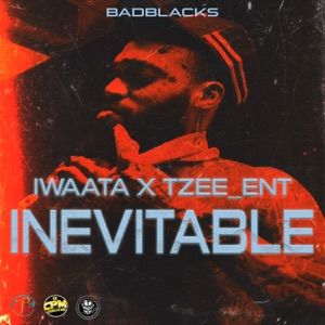 Inevitable-Iwaata 