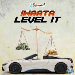 Level It-Iwaata 