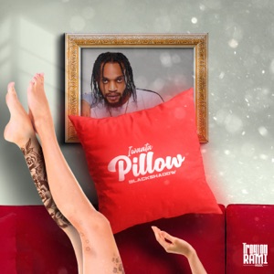 Pillow-Iwaata 