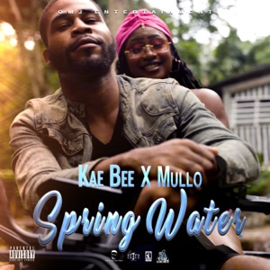 Spring Water-Kae-Bee 