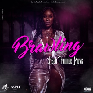 Brawling-Kash Promise Move