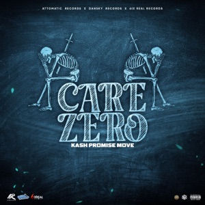 Care Zero-Kash Promise Move