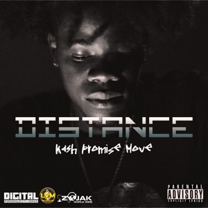 Distance-Kash Promise Move