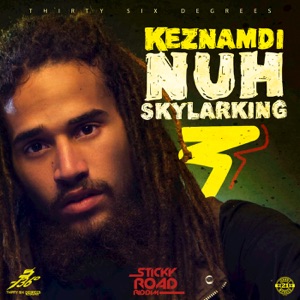 Nuh Skylarking