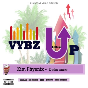 Determine-Kim Phyenix