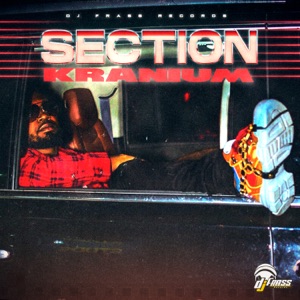 Section-Kranium