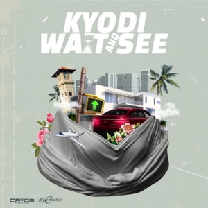 Wait and See-Kyodi 