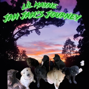 Lil Mayne - Jah Jahs Journey