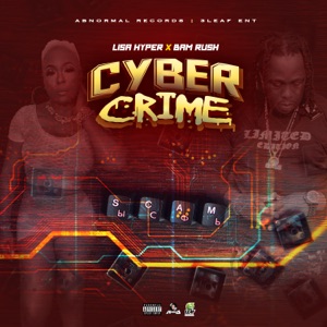 Cyber Crime - Lisa Hyper