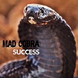 Splash-Mad Cobra