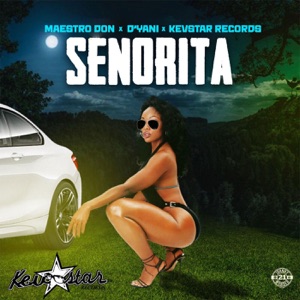 Señorita - Maestro Don