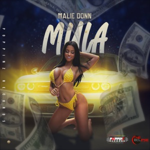 Mula