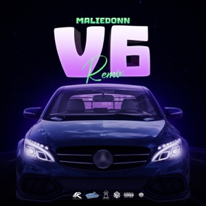 V6-Malie Donn