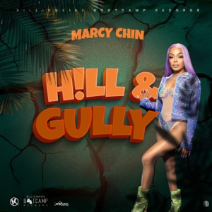 Hill and Gully - Marcy Chin