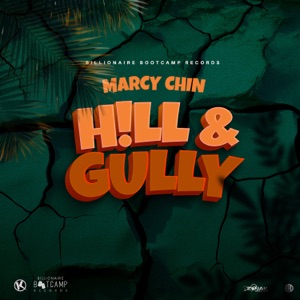 Hill & Gully - Marcy Chin