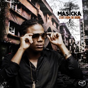 Crocodile Dem a Work-Masicka