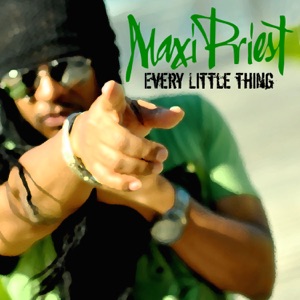 Every Little Thing