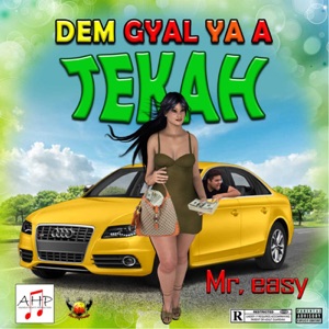 Dem Gyal Yah a Tekah - Mr. Easy